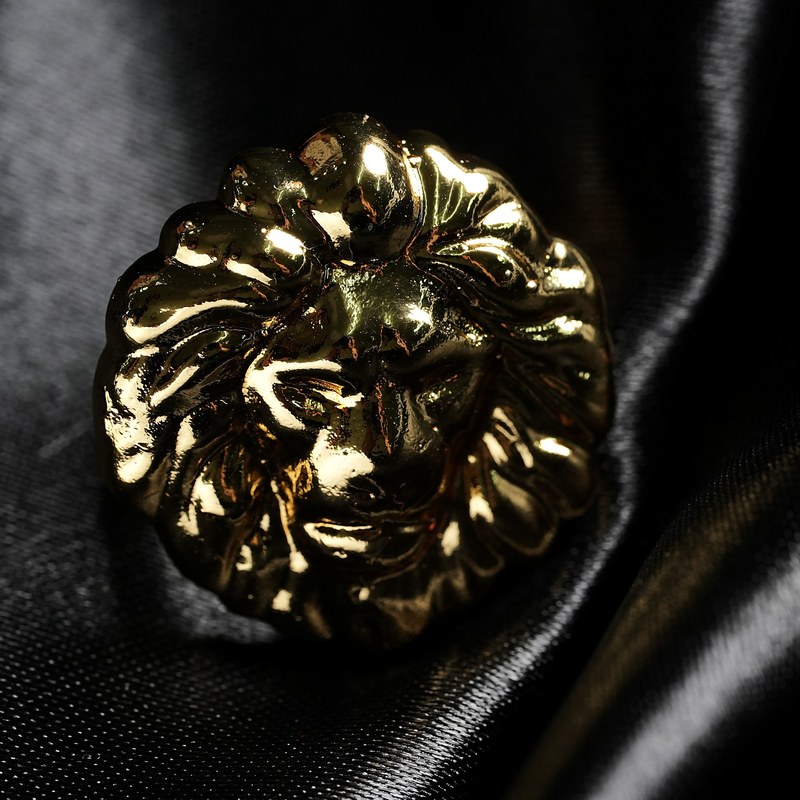 The Lion — Her Becoming heirloom ring